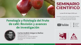 Fenología y fisiología del fruto de café: Revisión y avances de investigación