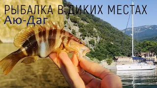 Дикий пляж Аю-Даг, рыбалка с Сап доски, Черное море, Крым.