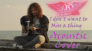 Aerosmith | I don't want to miss a thing | acoustic cover | 4k