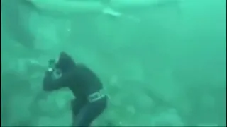 Diver lucky to escape great white shark attack 1080p