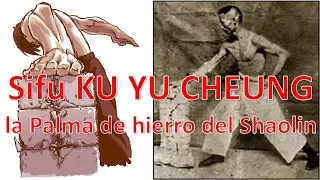 LA PALMA DE HIERRO del Shaolin Kung fu, Sifu Ku Yu Cheung