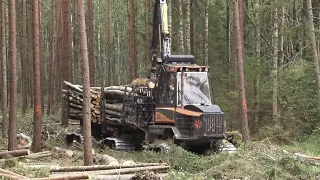 Piesārņojuma mazināšana meža darbos