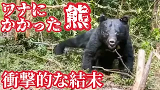 【貴重映像】衝撃的な場面に遭遇しました！　#熊　#ツキノワグマ #ジムニー