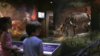 Gray Fossil Site & Museum