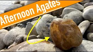 Found BEAUTIFUL MONTANA MOSS AGATE while Rock Hunting a STEEP Bank | Montana Rockhounding #Withme