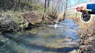 Creek Fishing For Trout (TIPS AND TRICKS)