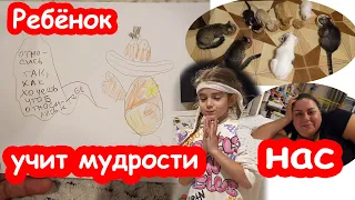 VLOG Алиса выпускает книгу.  Кошачья ферма