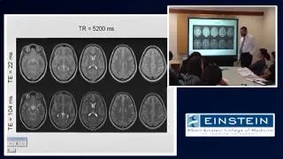 Introducing MRI: Contrast Agents (13 of 56)