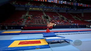 JOERGENSEN Mikkel (DEN) - 2017 Trampoline Worlds, Sofia (BUL) - Qualification Double Mini Routine 2