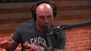 Joe Rogan on Flow State