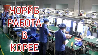 САМАЯ ЛЕГКАЯ РАБОТА НА ЧОРИБЕ. РАБОТА В ЮЖНОЙ КОРЕЕ // ВЛОГ-27