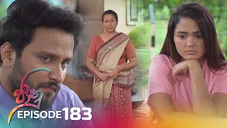 Jaanu | Episode 183 - (2023-11-06) | ITN