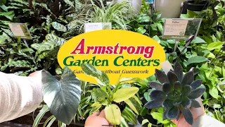 TONS of Cool New Houseplant Varieties Available at Armstrong!