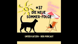 #37 Die neue Sommer-Folge - Chillen üben