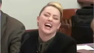 Curb Your Amber Heard