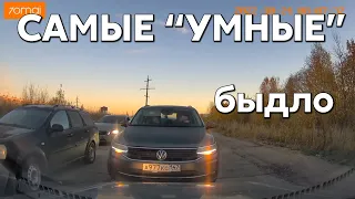 Подборка САМЫХ "УМНЫХ" водителей #752