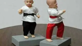 Kung Fu Electronic Toys