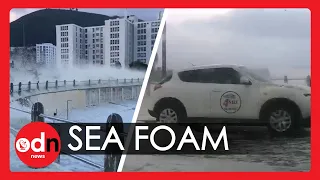 Passing Vehicles Engulfed as Sea Foam Storm Covers Cape Town Coastline