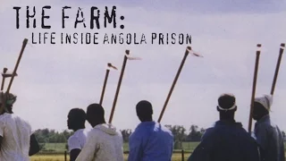 The Farm: Angola, USA ( 1998 )