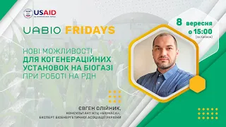 Євген Олійник: Нові можливості для когенераційних установок на біогазі при роботі на РДН