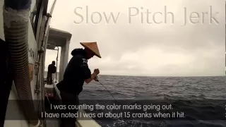 Slow pitch jigging, Japanese Angler's Secrets