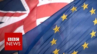 What happens after the EU Referendum? BBC News