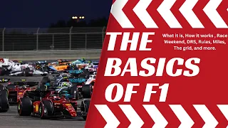 The Basics of F1 | Formula One Racing Explained by an Idiot