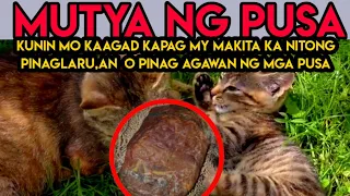 MUTYA NG PUSA | Agimat13jf