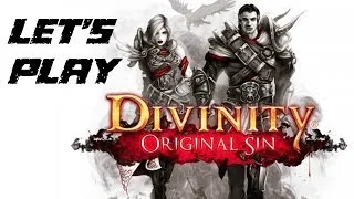 Divinity Original Sin: Kickstarter-Alpha angespielt (Shut Up And Take My Money)