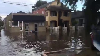 See flooding in New Orleans at Canal St and Carrollton Avenue