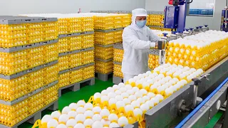 370,000 Eggs a Day! Automated Egg Factory, Liquid Egg Processing / 自動化洗選蛋工廠, 液體蛋加工 - Food Factory