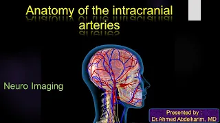 4-Anatomy of the intracranial arteries
