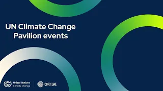 The role of the private sector, innovation and technology in the first Global Stocktake, COP 28