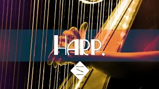 Tranquil Harp: Fantasy Celtic Song for Moving Movie Scenes & Crying YouTube Videos Background