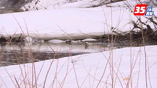 Вологодские спасатели предупредили об опасности выхода на лед водоемов