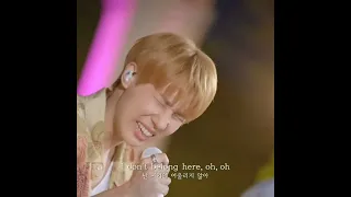 성규의 저음과 가성을 사랑해