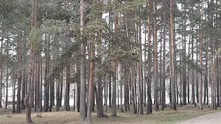 На Прогулке в парке Семья Булатовых