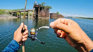 3 Hours of RAW and UNCUT Ultralight Fishing with Gulp Minnows | Watts Bar Dam