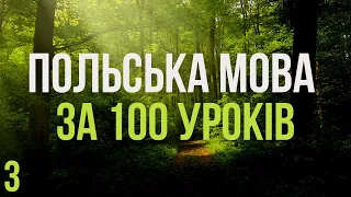 Польська мова за 100 уроків. Польські слова та фрази. Польська з нуля. Польська мова. Частина 3