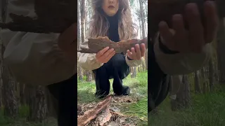 ASMR Лес🌳forest