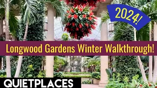 Longwood Gardens Winter Walkthrough! Conservatory & Outside Gardens! No Music! 2024! Pennsylvania!