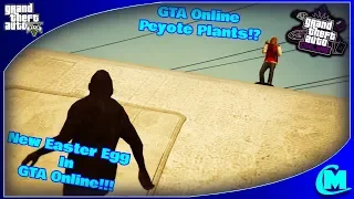 GTA 5 - New Online Easter Egg!!!, Peyote Plants Coming To Online!