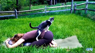 Only ANIMALS can make you LAUGH YOUR HEAD OFF - Funniest ANIMAL compilation