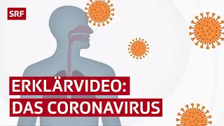 Coronavirus erklärt – das stellen die Covid-19-Viren in unserem Körper an | Erklärvideo | SRF News