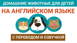 30 домашних животных на английском языке для детей с озвучкой и переводом.