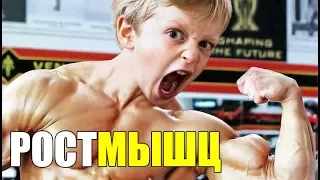 Пару Вещей Про Рост Мышц, о Которых Ты Не Знаешь.