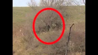 Bigfoot caught on camera November 21, 2014 Stockton Iowa