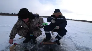 Ловим сорогу на Шанталыке Бурятия