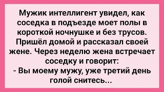 Жена Интеллигента Угрожает Соседке без Трусов! Сборник Свежих Смешных Жизненных Анекдотов!