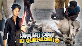 Humari Cow ki Qurbaani!💔😊I Got Emotional!😭Angry Camel Qurbaani😡Vampire YT